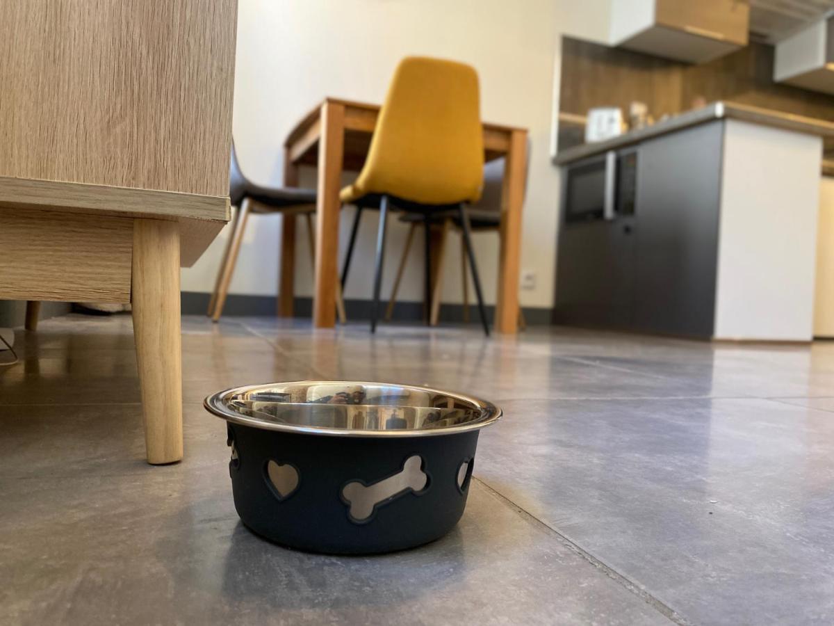 Exceptionnel ! Superbe Appartement Refait A Neuf En Rez-De-Chaussee Avec Parking Prive 卡斯特尔 外观 照片